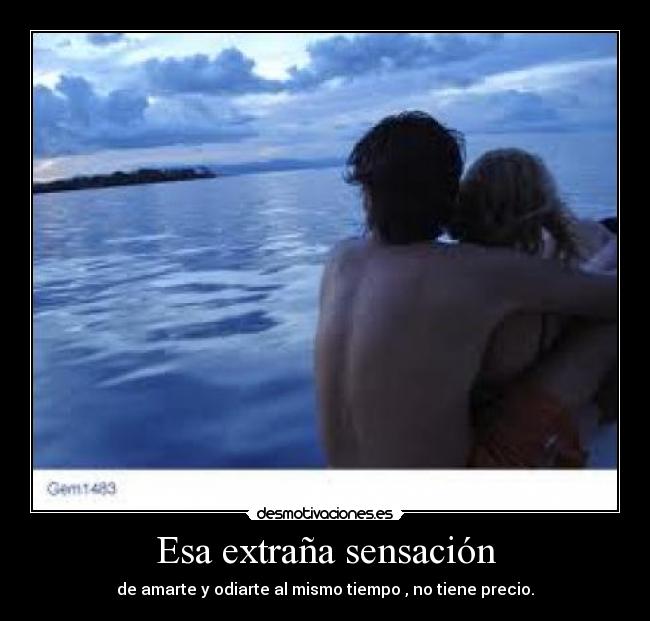 Esa extraña sensación - de amarte y odiarte al mismo tiempo , no tiene precio.