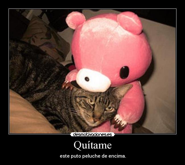 Quítame - este puto peluche de encima.