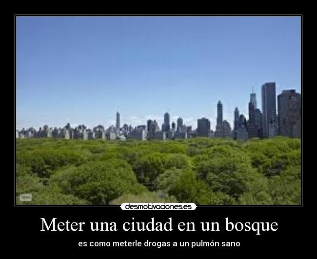 Meter una ciudad en un bosque - es como meterle drogas a un pulmón sano
