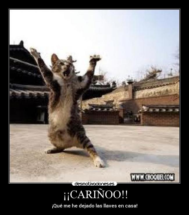 ¡¡CARIÑOO!! - ¡Qué me he dejado las llaves en casa!