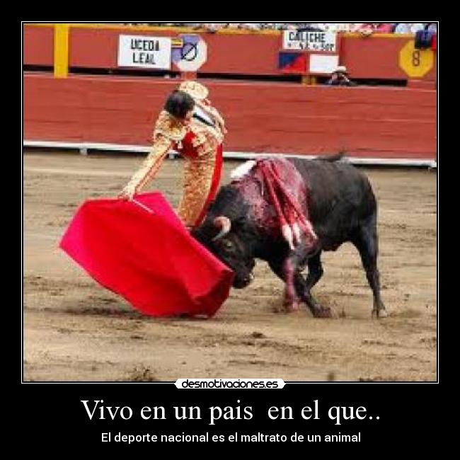 Vivo en un pais en el que.. - El deporte nacional es el maltrato de un animal