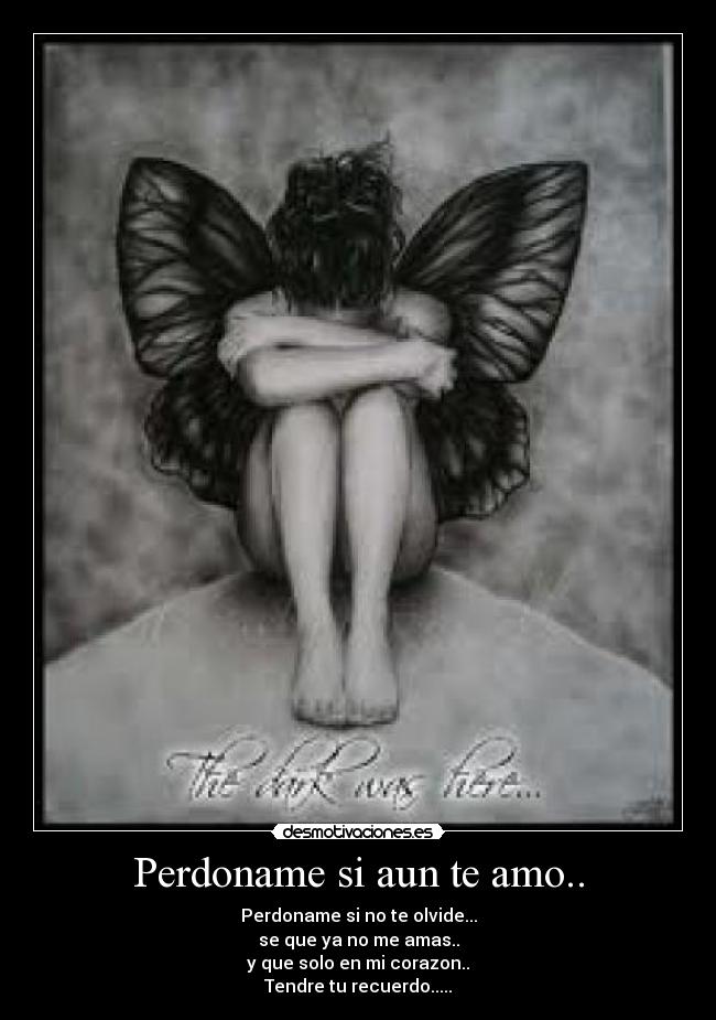 carteles perdoname aun amo desmotivaciones