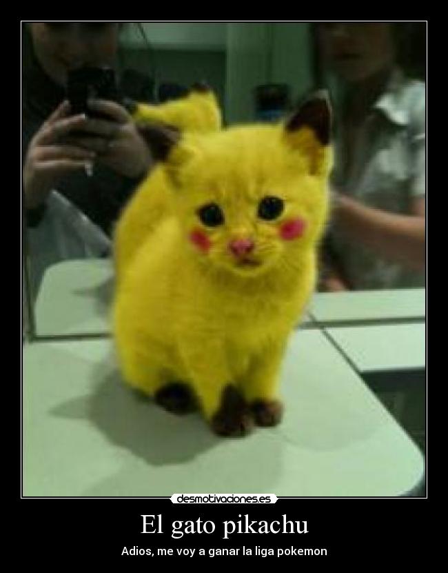 El gato pikachu -