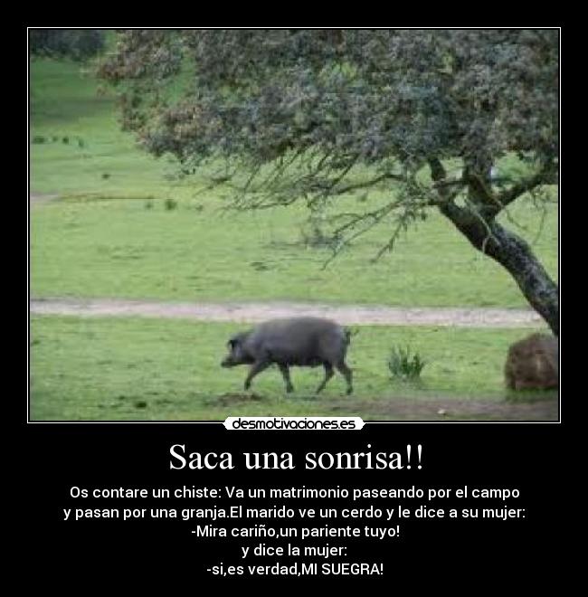 Saca una sonrisa!! -