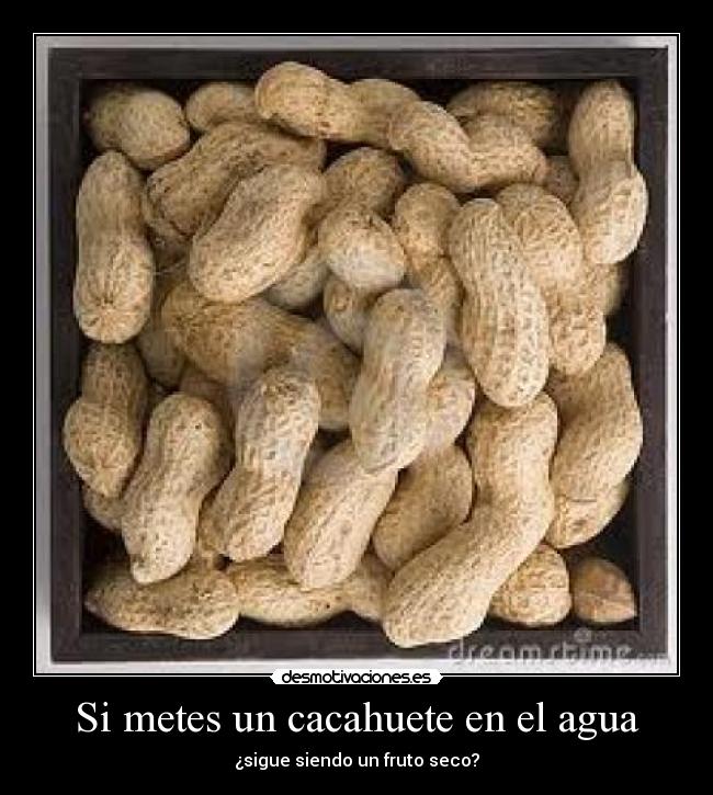 Si metes un cacahuete en el agua - ¿sigue siendo un fruto seco?