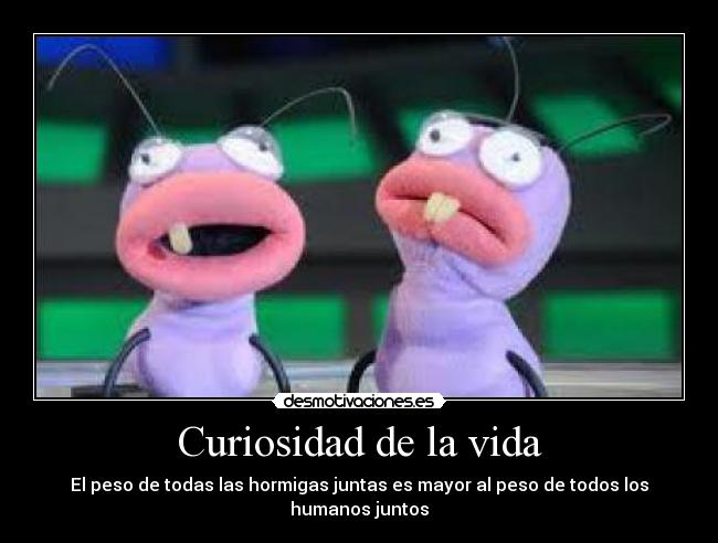 Curiosidad de la vida -