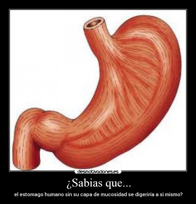 carteles zp96 desmotivaciones