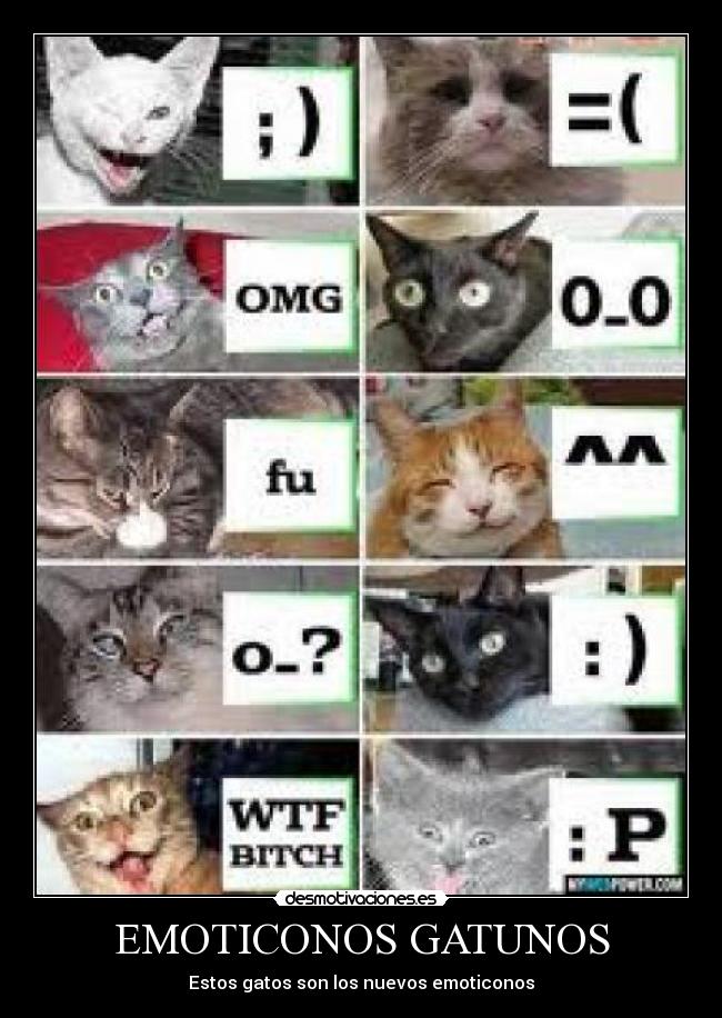 EMOTICONOS GATUNOS - 