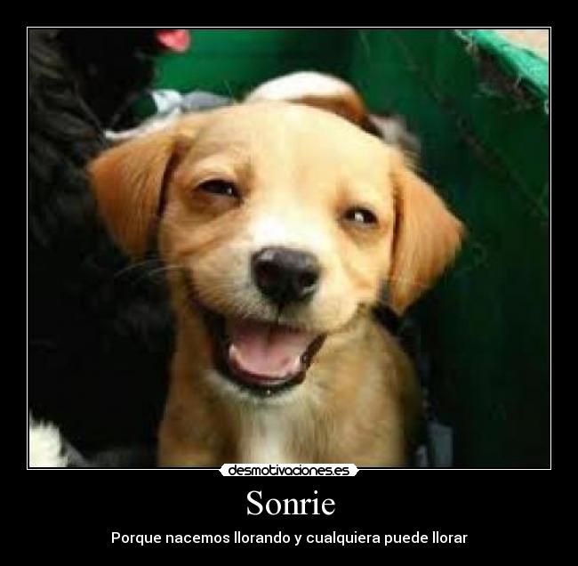 Sonrie - Porque nacemos llorando y cualquiera puede llorar