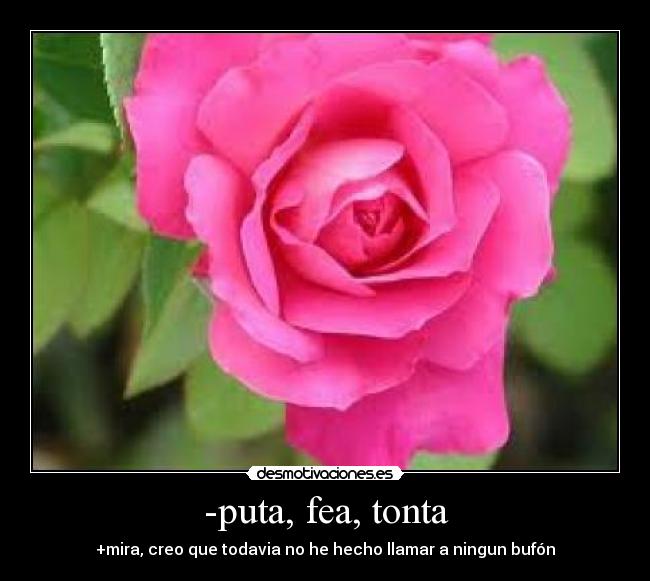 -puta, fea, tonta - +mira, creo que todavia no he hecho llamar a ningun bufón