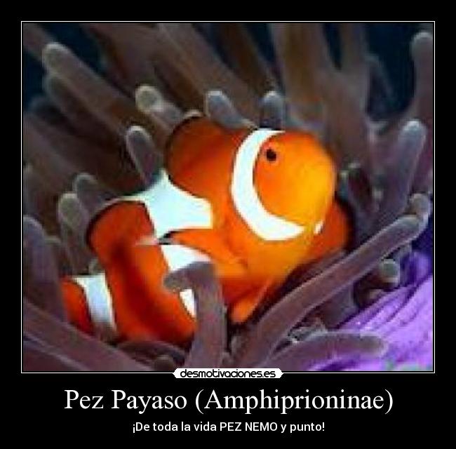 carteles enriquealtair desmotivaciones