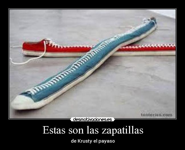 Estas son las zapatillas - 