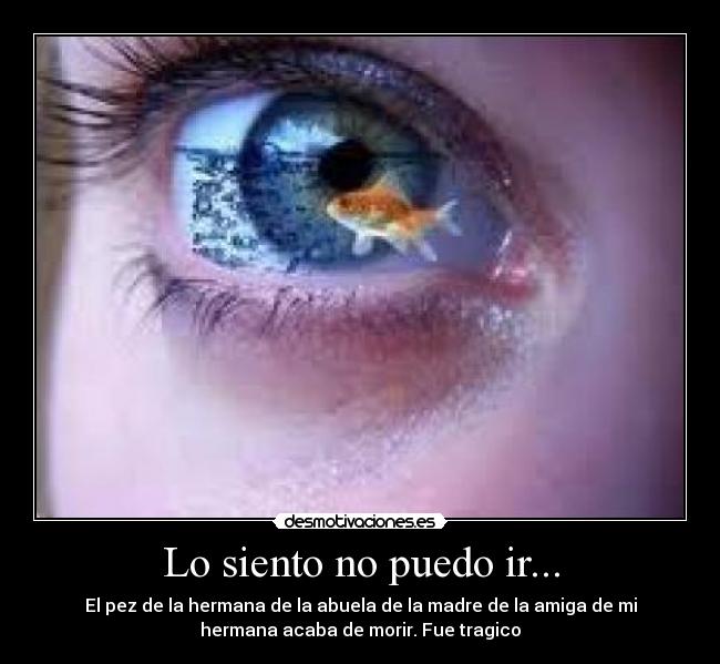 Lo siento no puedo ir... - El pez de la hermana de la abuela de la madre de la amiga de mi
hermana acaba de morir. Fue tragico