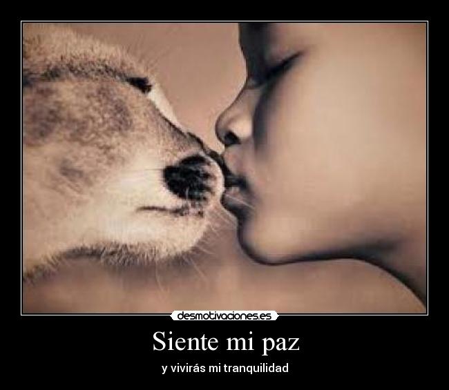Siente mi paz - y vivirás mi tranquilidad