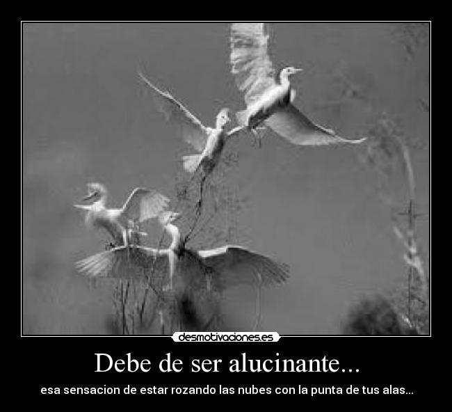 Debe de ser alucinante... - esa sensacion de estar rozando las nubes con la punta de tus alas...