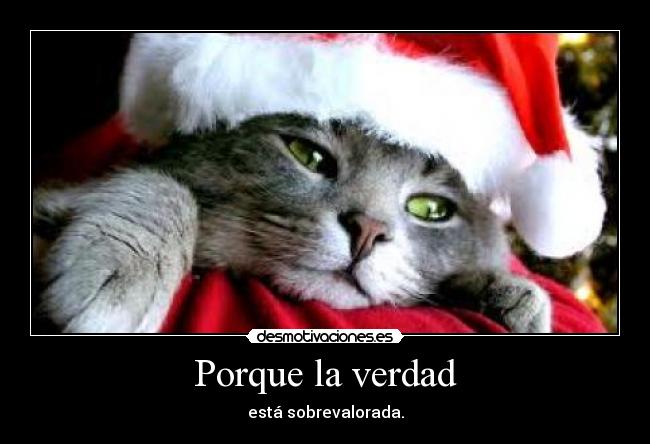 carteles gatosse entera que papa noel existe desmotivaciones