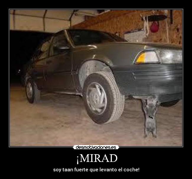 ¡MIRAD - soy taan fuerte que levanto el coche!