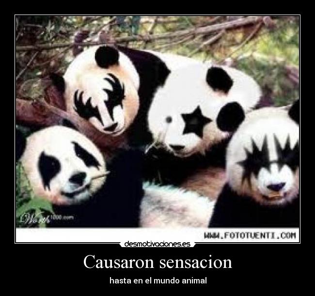 Causaron sensacion - hasta en el mundo animal