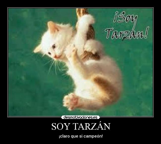 SOY TARZÁN - ¡claro que si campeón!