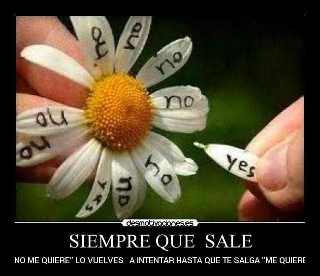 SIEMPRE QUE SALE -