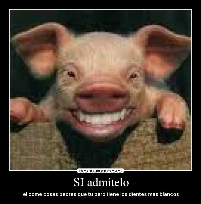 SI admítelo - el come cosas peores que tu pero tiene los dientes mas blancos