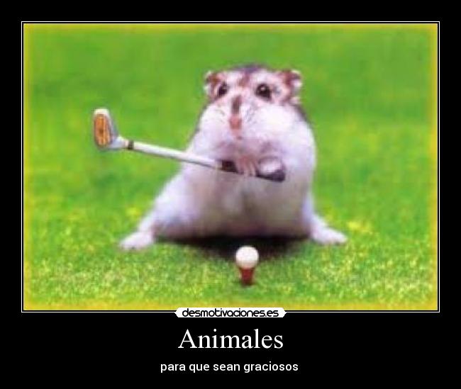 Animales -