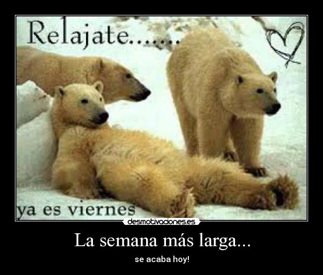 La semana más larga... -