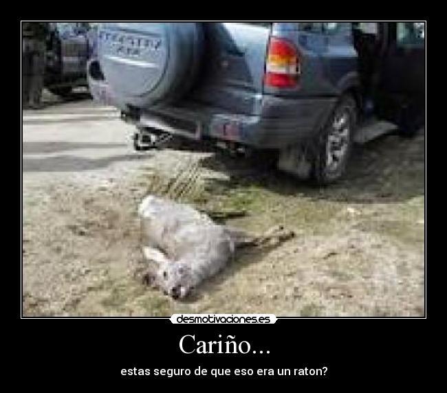 Cariño... - 