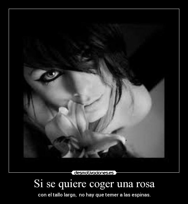 Si se quiere coger una rosa -