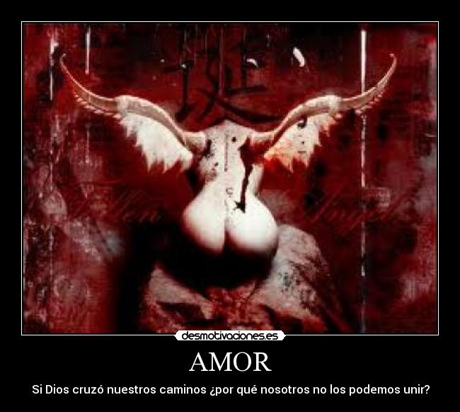 AMOR -