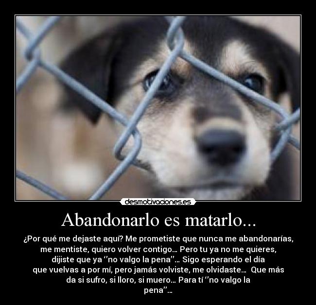 Abandonarlo es matarlo... - ¿Por qué me dejaste aquí? Me prometiste que nunca me abandonarías,
me mentiste, quiero volver contigo… Pero tu ya no me quieres,
dijiste que ya ‘’no valgo la pena’’… Sigo esperando el día
que vuelvas a por mí, pero jamás volviste, me olvidaste…  Que más
da si sufro, si lloro, si muero… Para tí ‘’no valgo la
pena’’…