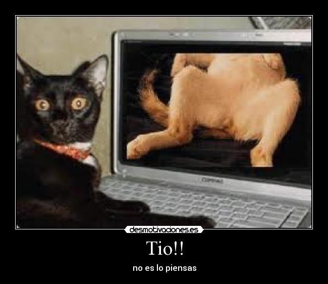 Tio!! -