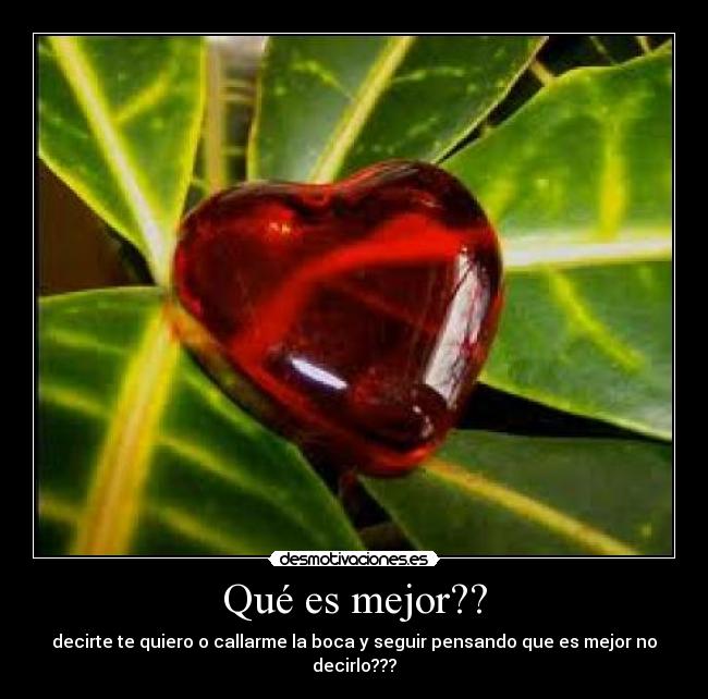 Qué es mejor?? - decirte te quiero o callarme la boca y seguir pensando que es mejor no decirlo???