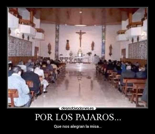 POR LOS PAJAROS... - Que nos alegran la misa...