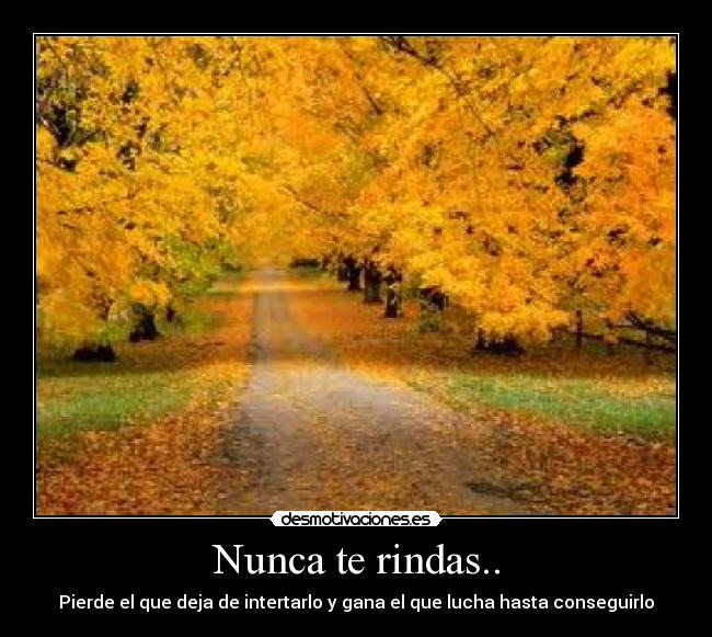 Nunca te rindas.. - 