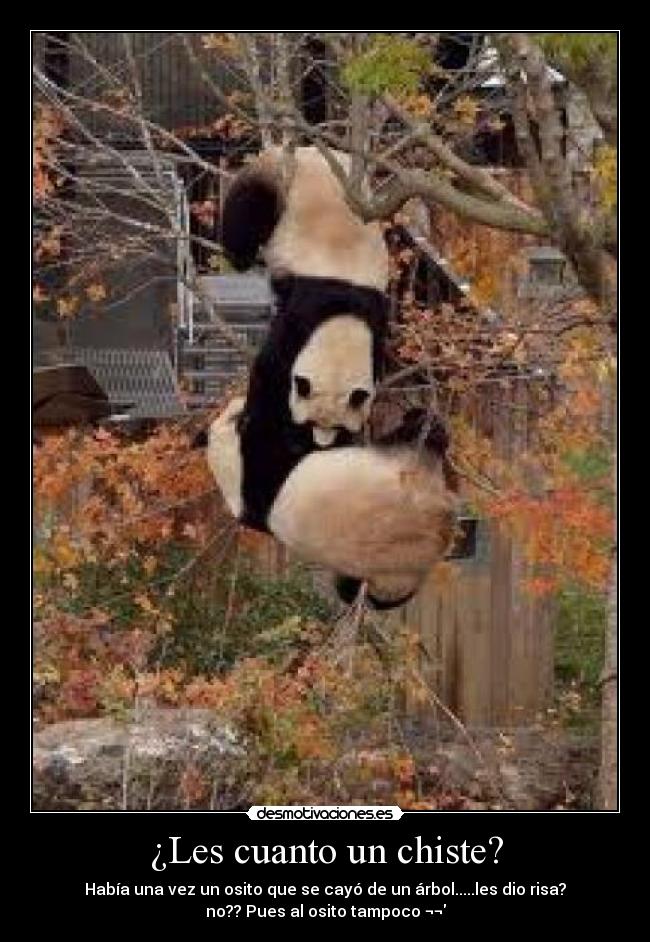 ¿Les cuanto un chiste? -