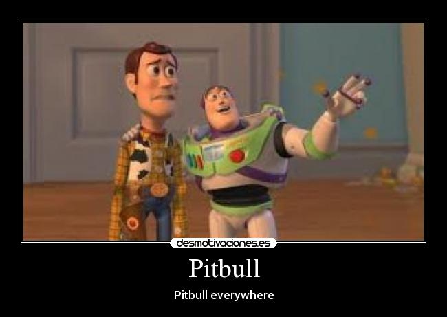 Pitbull - Pitbull everywhere