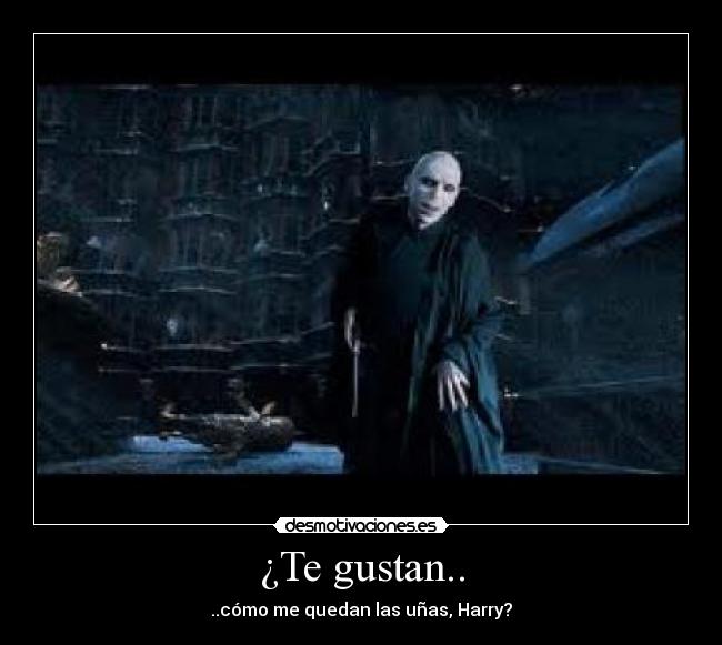 ¿Te gustan.. -