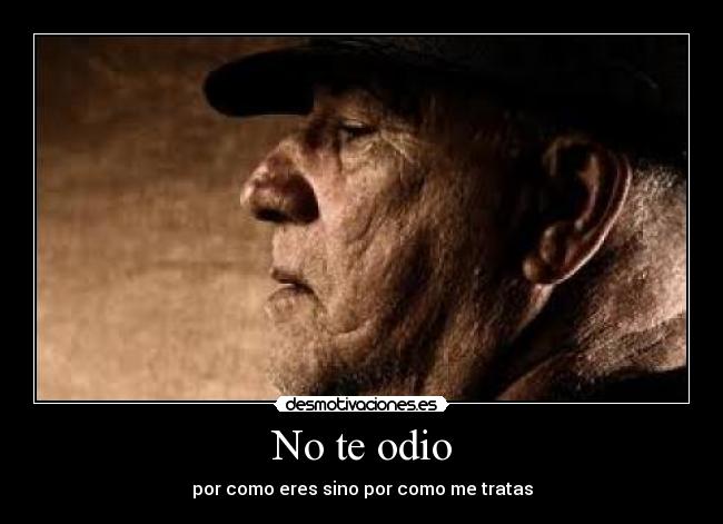 No te odio -