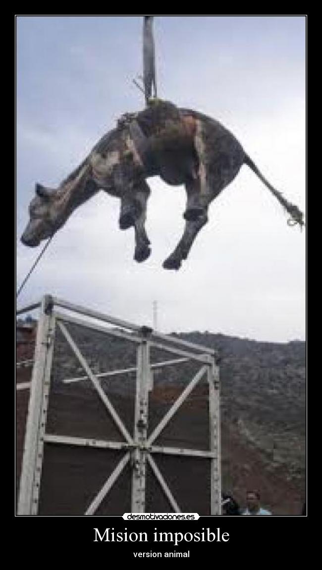 Mision imposible - version animal