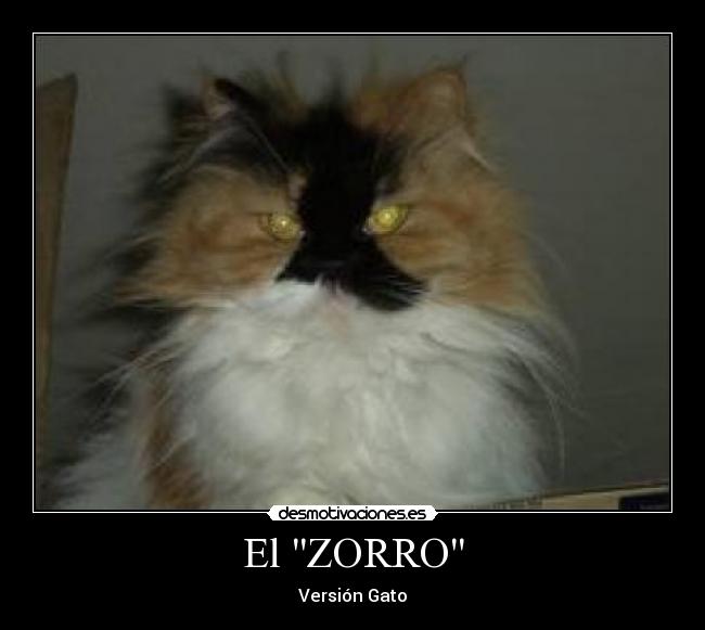 El ZORRO - 