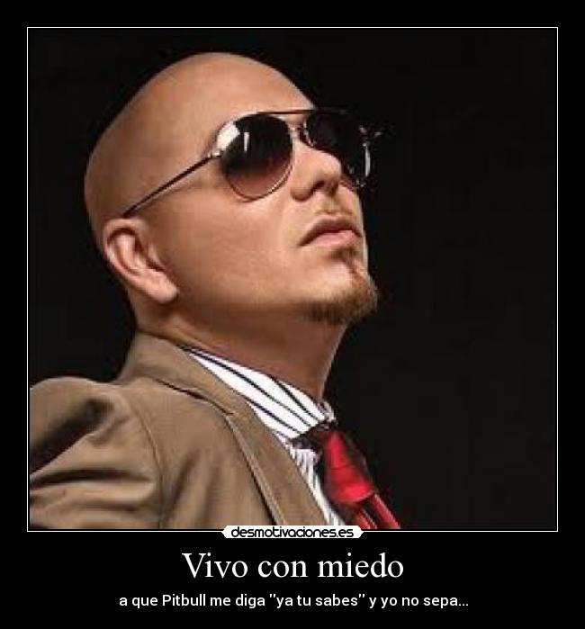 Vivo con miedo - a que Pitbull me diga ya tu sabes y yo no sepa...