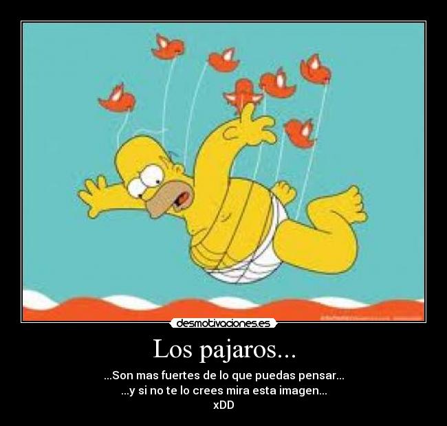 Los pajaros... -