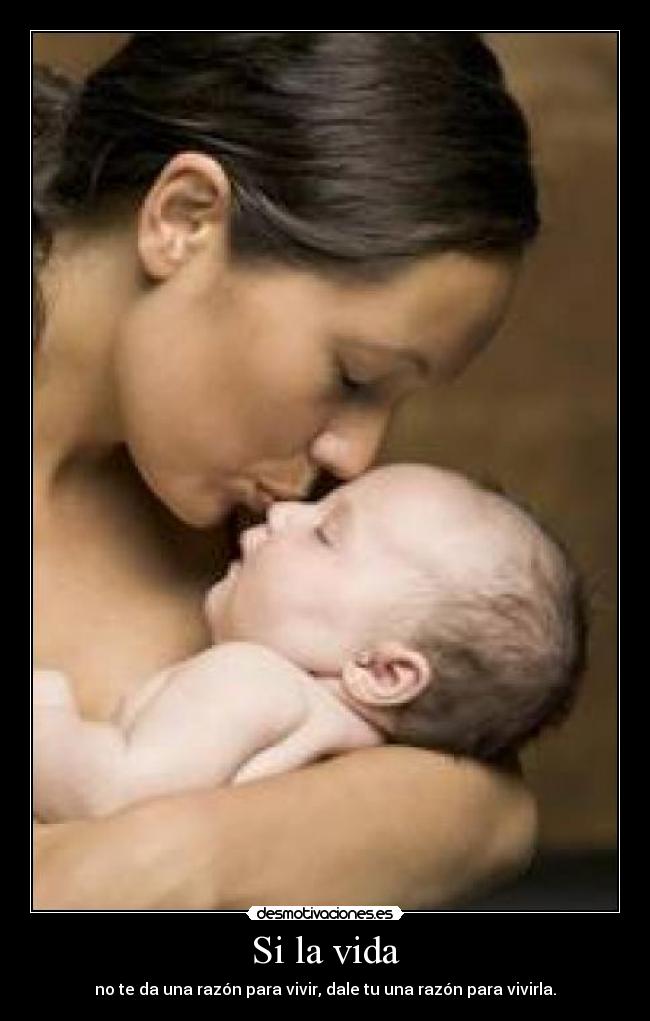 carteles vida vive vida desmotivaciones