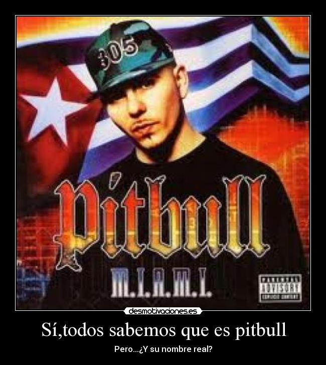 Sí,todos sabemos que es pitbull - Pero...¿Y su nombre real?