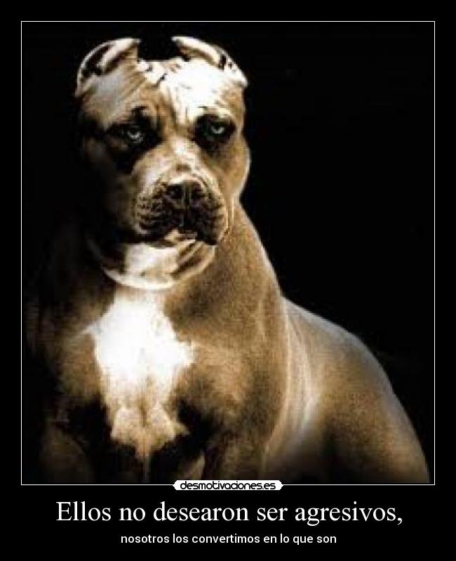 carteles perros desmotivaciones