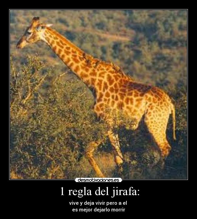 1 regla del jirafa: - 