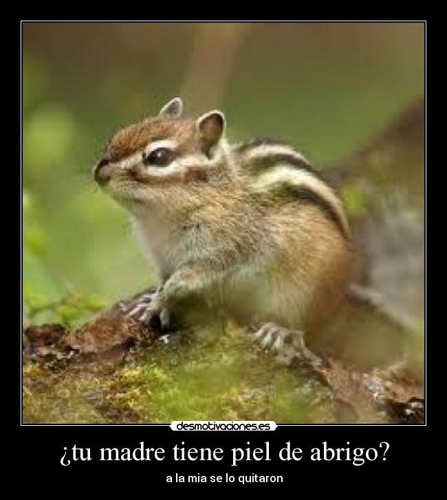 ¿tu madre tiene piel de abrigo? -