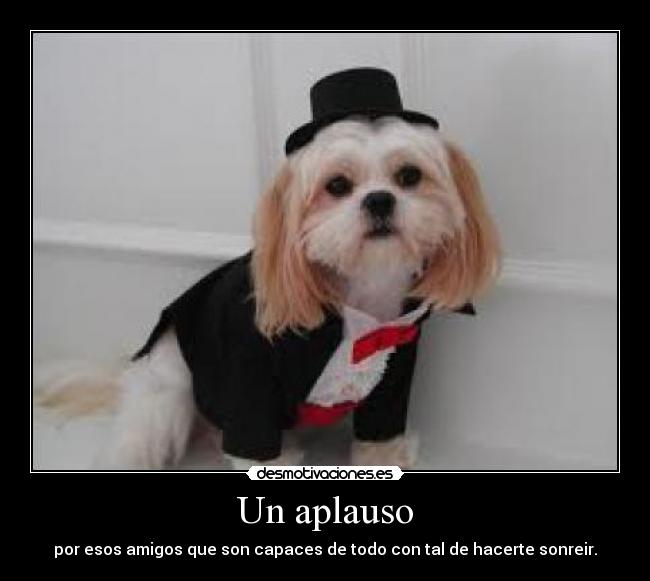 Un aplauso - por esos amigos que son capaces de todo con tal de hacerte sonreir.