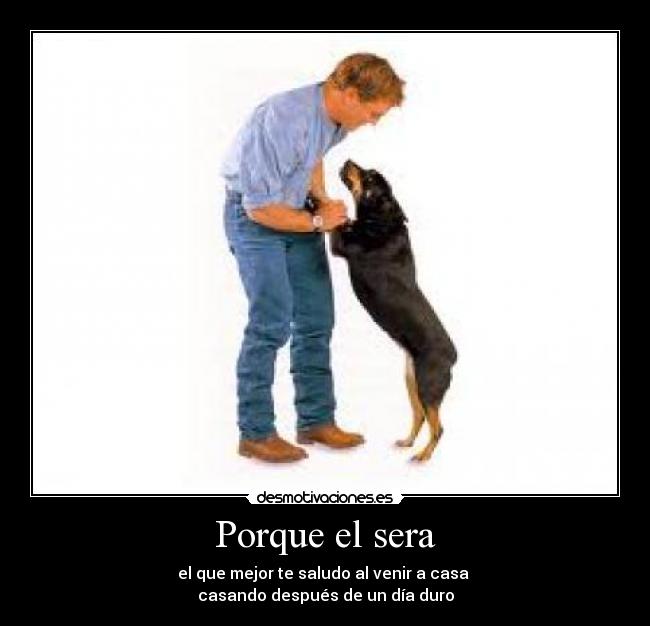 Porque el sera - el que mejor te saludo al venir a casa
casando después de un día duro